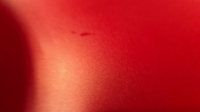 〒526-0834 滋賀県長浜市大辰巳町字角町29番