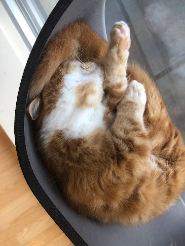 Puchi Marry ラソラ札幌店 - 札幌市