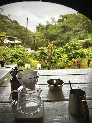 〒905-0004 沖縄県名護市中山３７８