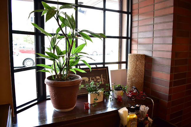 Comentarii opinii despre アーレス・コート