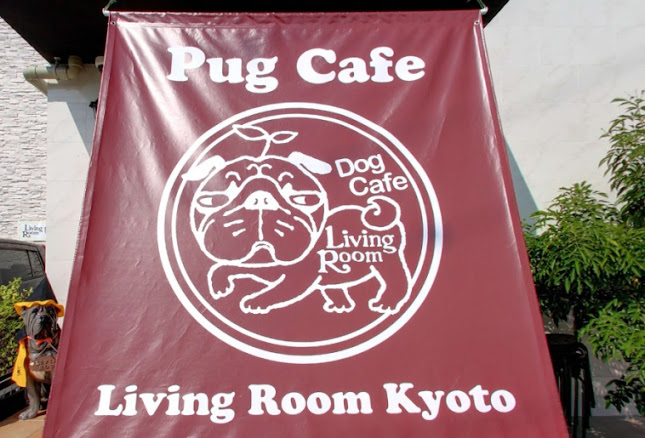パグカフェ LivingRoom 京都 - 京都市