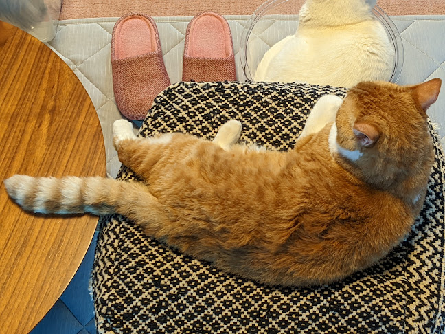 〒595-0803 大阪府泉北郡忠岡町北出１丁目８−２７ 注）お 店の前の道は一方通行です。