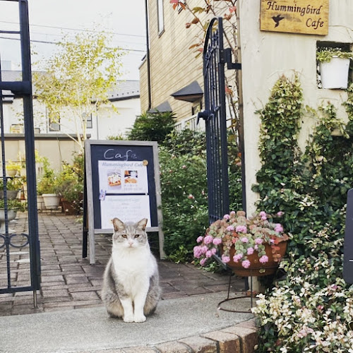 Hummingbird Cafe - さいたま市