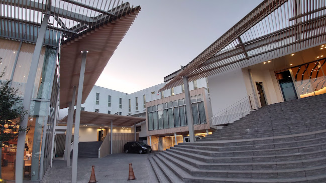 〒222-0026 神奈川県横浜市港北区篠原町９７−１