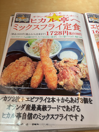 Opinii despre 最高級ラードのとんかつ ヒカル亭 în 春日井市 - 飲食業