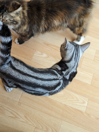 東札幌三条 1 1 1 ラソラ札幌店Aタウン2階, １丁目 白石区 札幌市 北海道 003-0003