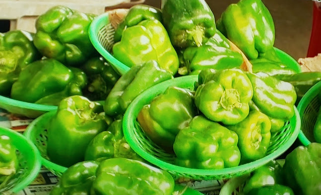 〒249-0006 神奈川県逗子市逗子５丁目２