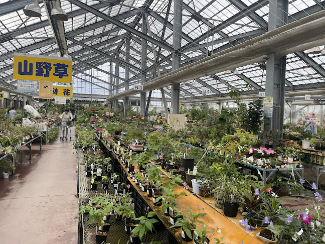 ＪＡ新潟かがやき 花夢里にいつ - 飲食業