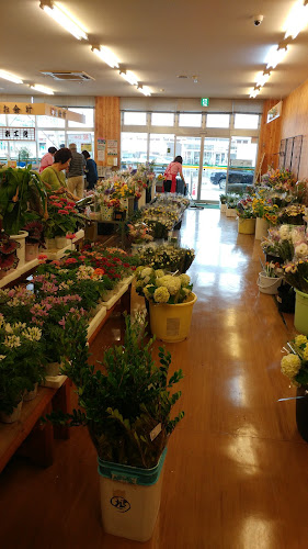 〒854-0051 長崎県諫早市鷲崎町３３７−１