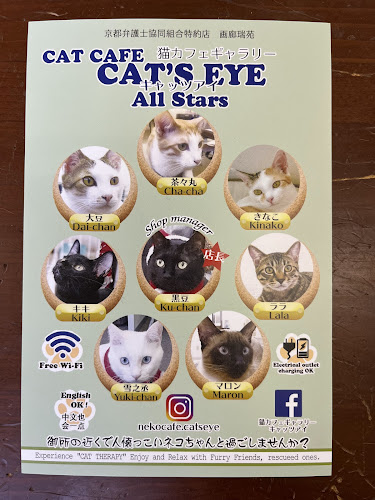 Comentarii opinii despre 猫カフェギャラリーキャッツアイ