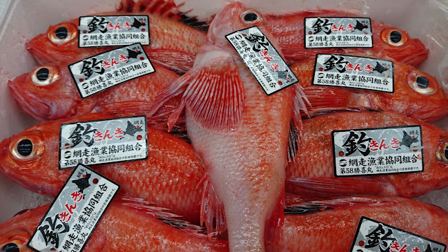 〒670-0017 兵庫県姫路市福中町２０