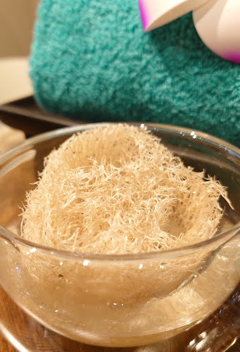 〒186-0002 東京都国立市東１丁目6−３３ 国立ロイヤルビル 1階