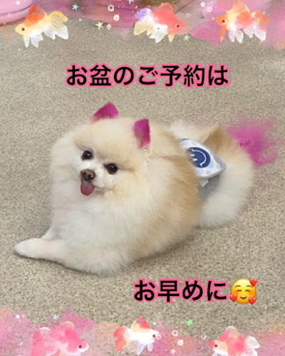 Dog 🐾café & Bar mint(ドッグカフェミント) - 飲食業