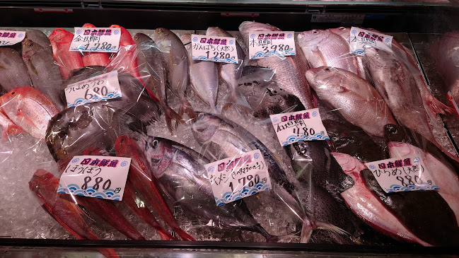 日本鮮魚 イオンタウン松原店 - 飲食業