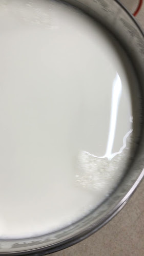 Comentarii opinii despre オステリア エ ボッテガ エッセ