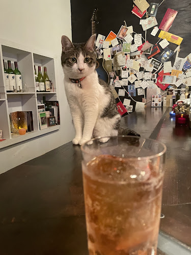 カサ・フロールCASA FLOR - 飲食業