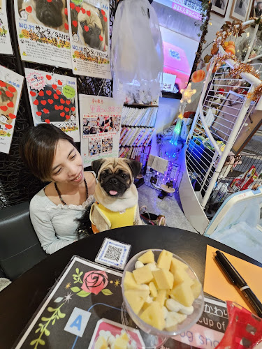 Comentarii opinii despre パグカフェ LivingRoom 京都