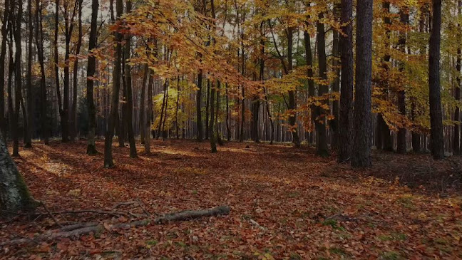 とんかつ新宿さぼてん 延岡イオンショッピングセンター店 - 飲食業