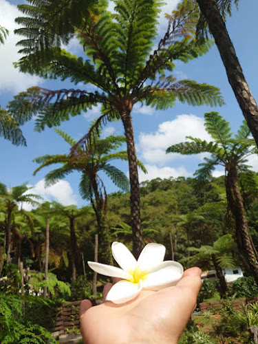 中山コーヒー園 Nakayama Coffee Farm - 飲食業