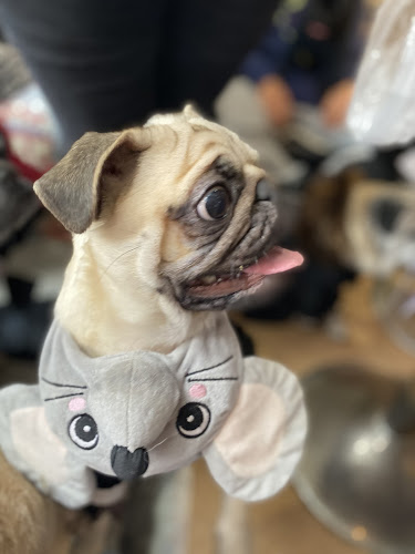 〒615-8017 京都府京都市西京区桂河田町１５１