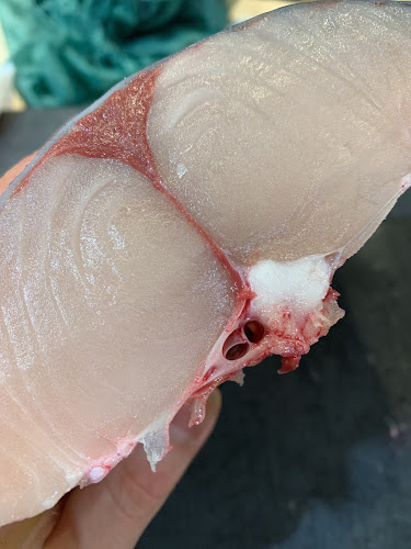 Comentarii opinii despre いわもと