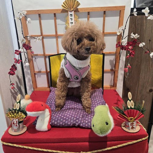 〒274-0805 千葉県船橋市二和東６丁目３−５