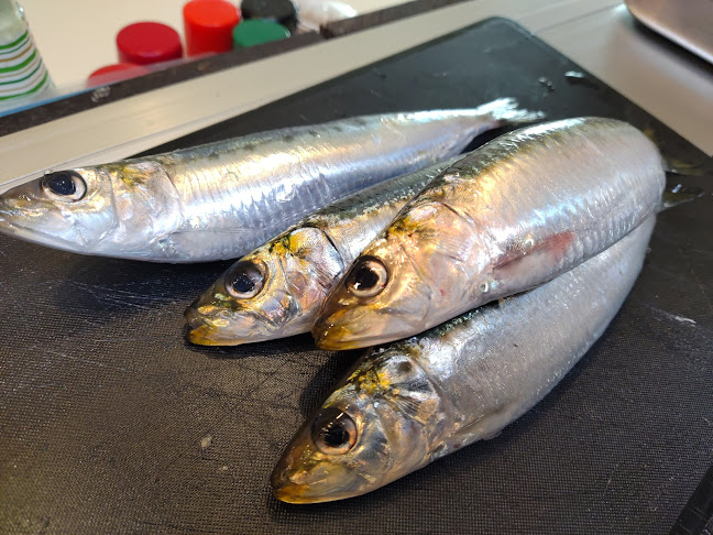 Opinii despre 立吞処さくら în 大阪市 - 飲食業