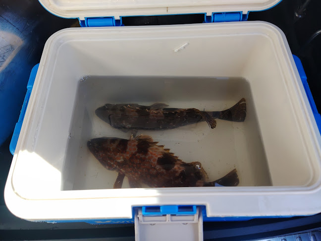 Comentarii opinii despre 立吞処さくら