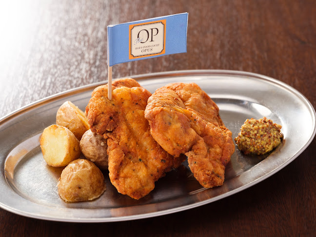 Comentarii opinii despre オーパス