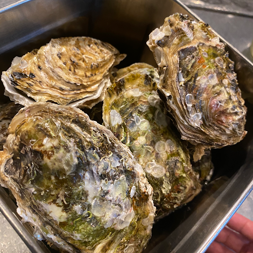 Portovino ポルトヴィーノ - 飲食業