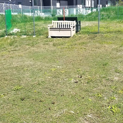 Comentarii opinii despre D-LAND