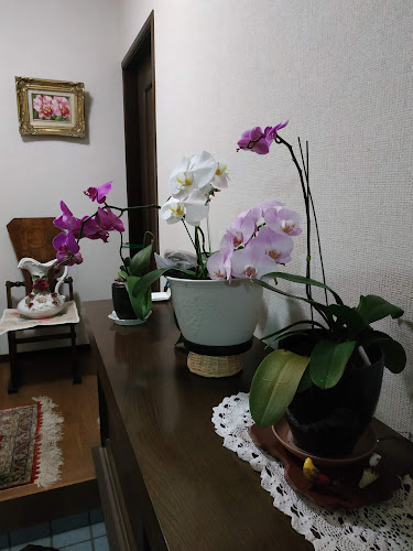 Opinii despre 梅ケ枝製麺所 în 大阪市 - 飲食業