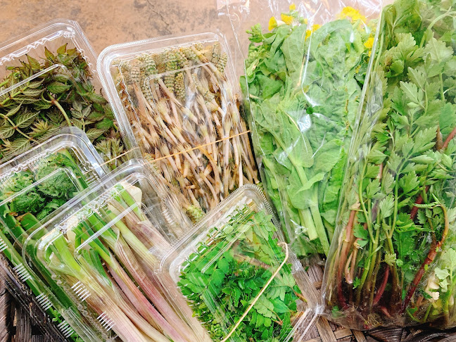 〒537-0012 大阪府大阪市東成区大今里４丁目３−９