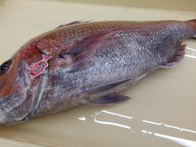 Opinii despre （有）マルエ水産 în 姫路市 - 飲食業