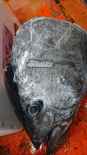 Comentarii opinii despre （有）マルエ水産