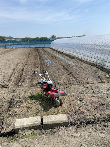 Comentarii opinii despre カラオケBAR Ryu