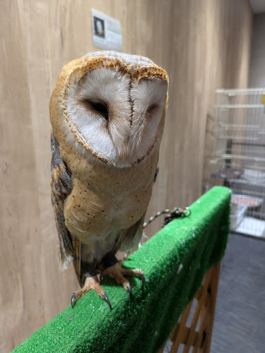 〒010-0874 秋田県秋田市千秋久保田町４−２