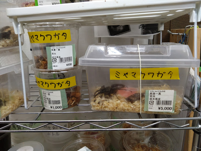 やさい＆くだもの村 金井台店 - 宇都宮市