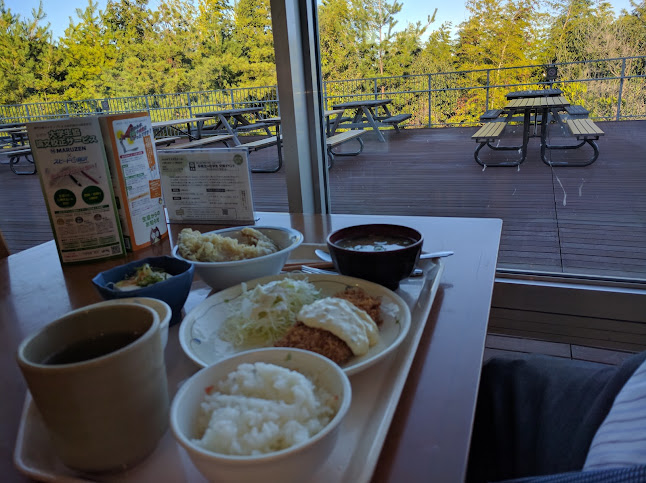 〒615-8246 京都府京都市西京区京都大学桂