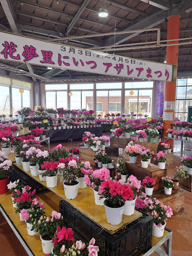 Comentarii opinii despre ＪＡ新潟かがやき 花夢里にいつ