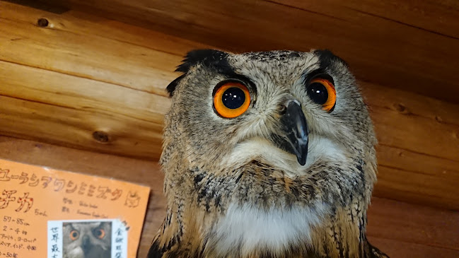 〒010-0874 秋田県秋田市千秋久保田町４−２