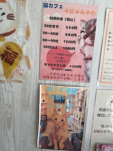 Opinii despre 猫カフェ十にゃん十色 în 習志野市 - 飲食業
