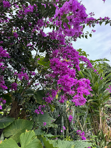 Opinii despre 沖縄そばの店 しむじょう în 那覇市 - 飲食業