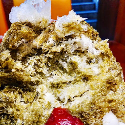 Opinii despre おしゃべりな亀 în 奈良市東 - 飲食業