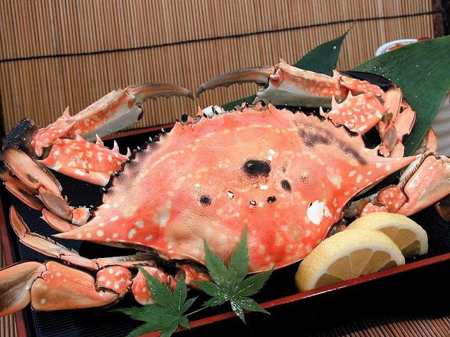 藤乃井 - 熊本市