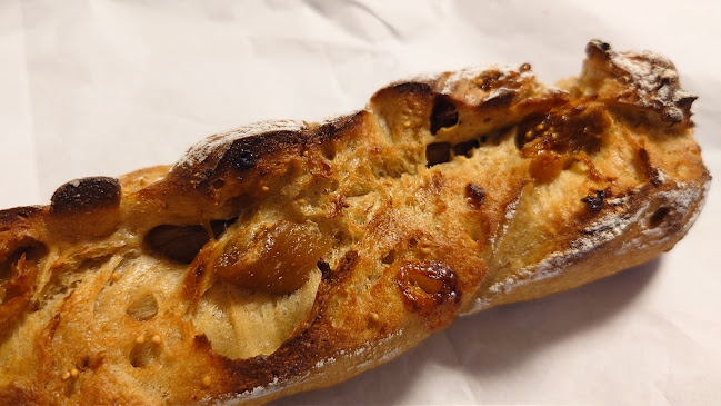 〒248-0014 神奈川県鎌倉市由比ガ浜１丁目３−１６ コンフォート由比ヶ浜