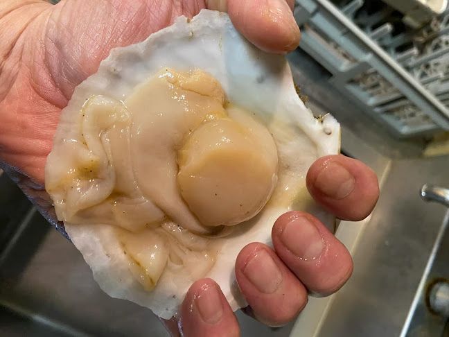 〒532-0002 大阪府大阪市淀川区東三国４丁目１９−３５