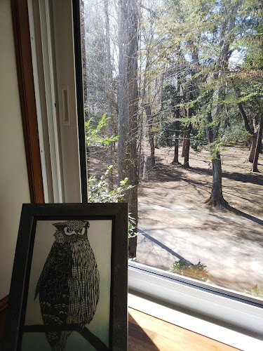 Opinii despre 森の食卓 în 三鷹市 - 飲食業