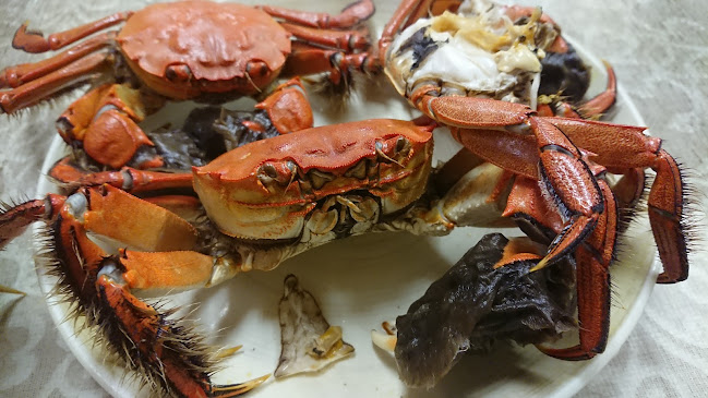 伊豆之助 - 伊豆の国市