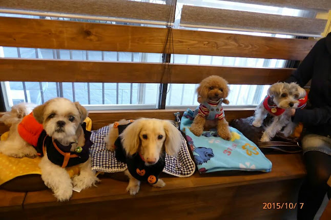 Opinii despre DogCafe Gaju în 習志野市 - 飲食業